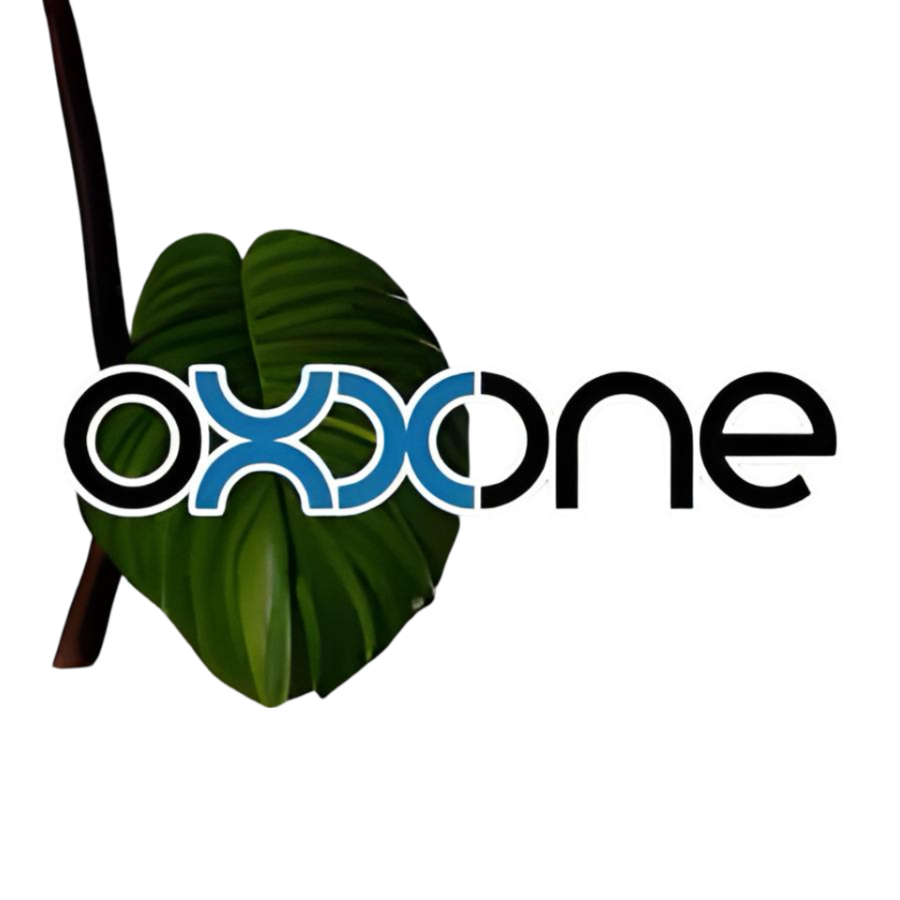 logo oxxone